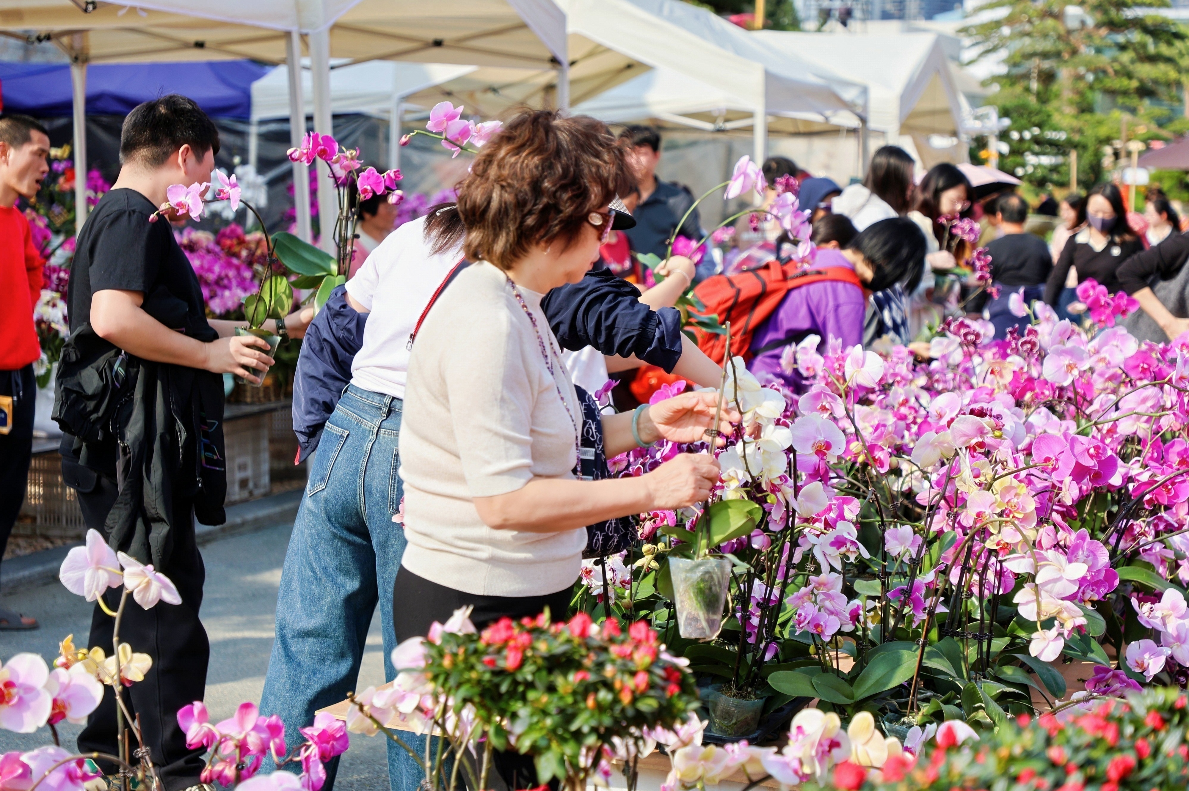 ba5e38846ddd505226f01d325b5a805a_content_6985b3d18b289 ba5e38846ddd505226f01d325b5a805a_content_6985b3d18b289